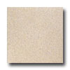 Tarkett Tarkett Fiber Floors Easy Living - Terrazzo Almost Golden Vinyl