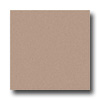 Milliken Milliken Harmony 8 Square Stucco Area Rugs