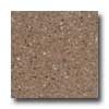 Santa Regina Santa Regina Designer 16 X 16 (natural) Toasted Wheat Terrazzo T