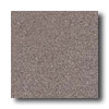 Crossville Crossville Cross-plus 8 X 8 Graphite Tile  &  Stone