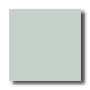 American Olean American Olean Unglazed Ceramic Mosaics - Abrasive 1 X 1 Light A