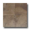 American Olean American Olean Costa Rei 6 X 6 Terra Marrone Tile  &  Stone