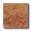 Daltile Daltile Ardesia 18 X 18 Arancio Tile  &  Stone