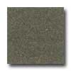 Daltile Daltile Granati Polished 12 X 12 Nero Impala Tile  &  Stone