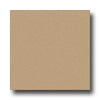 Milliken Milliken Harmony 11 X 13 Wheat Area Rugs