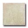 Azuvi Azuvi Austin 20 X 20 Creme Tile  &  Stone