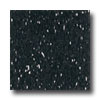 Armstrong Armstrong Excelon Companion Square Premium Mono Black Vinyl Floo