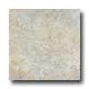 Italgres Italgres Tivoli 20 X 20 Ash Tile  &  Stone