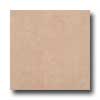 Atlas Concorde Atlas Concorde Diamante 18 X 18 Polished Rosa Tile  &  Stone