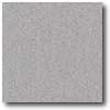 Daltile Daltile Porcealto (unpolished) 8 X 8 Labradorite (graniti) Tile