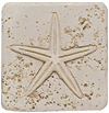 Tesoro Tesoro Fossil Listello Star Tile  &  Stone