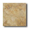 Ricchetti Ricchetti Palazzi 18 X 18 Baldi Tile  &  Stone
