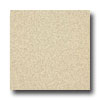 Armstrong Armstrong Medintech Tandem Inlaid Carthamus Champagne Vinyl Floo