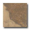 Tesoro Tesoro Isla Colosseum 20 X 20 Noce Tile  &  Stone