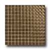 Daltile Daltile Maracas Glass Mosaics - Glossy Tortoise Tile  &  Stone
