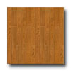 Congoleum Congoleum Forum Plank - Danbury Oak Colonial Oak Vinyl Flooring