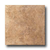 Cinca Cinca Forum 6 X 6 Nut Tile  &  Stone