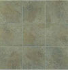 Interceramic Interceramic Mountain Rock 17 X 17 Greenstone Tile  &  Stone