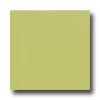 Interceramic Interceramic Colours 8 X 8 Green Kiwi Tile  &  Stone
