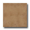 Armstrong Armstrong Pampa 18 X 18 Clara Tile  &  Stone