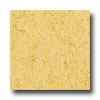 Armstrong Armstrong Marmorette With Naturcote Yellow Straw Vinyl Flooring