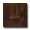 Anderson Anderson Coastal Art 6 Barnacle Board Hardwood Flooring