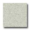 Mannington Mannington Biospec Moss Vinyl Flooring
