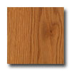 Mannington Mannington Revolutions Plank Ontairo Oak Honeytone Laminate Floo