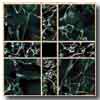Armstrong Armstrong Chelsea Collection Marble Beauty Verde Agate Vinyl Flo