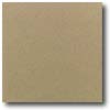 Daltile Daltile Quarry Textures Abrasive 6 X 6 Sahara Sand Tile  &  Stone