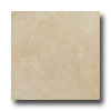 Emser Tile Emser Tile Capriccio 20 X 20 Beige Tile  &  Stone