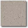 Daltile Daltile Porcealto (polished) 12 X 12 Grigio Elba (grani) Tile  &