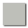 American Olean American Olean Satinglo Mosaic Sterling Tile  &  Stone