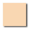 Crossville Crossville Cross-colors C 12 X 12 Polished Bamboo Tile  &  Stone