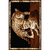 Home Dynamix Home Dynamix Zone 5 X 7 Ebony 7507 Area Rugs