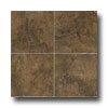 Esquire Tile Esquire Tile Cumberland Plateau 18 X 18 Timber Tile  &  Stone