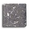 Alfagres Alfagres Tumbled Marble 4 X 4 Tocetos Negro Tile  &  Stone