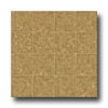 Congoleum Congoleum Pacesetter - Mirage 6 Earthen Clay Vinyl Flooring
