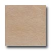 Bella Cera Bella Cera Georgia 18 X 18 Beige Tile  &  Stone