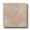 Energie Ker Energie Ker Como 20 X 20 Noce Tile  &  Stone
