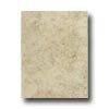 Mohawk Mohawk Bella Rocca 9 X 12 Venetian White Tile  &  Stone
