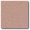 Daltile Daltile Porcealto (unpolished) 8 X 8 Creta (graniti) Tile  &  Ston