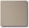 Daltile Daltile Quarry Textures Abrasive 6 X 6 Ashen Gray Tile  &  Stone