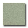 Armstrong Armstrong Medintech Homogeneous Moss Vinyl Flooring