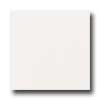 Daltile Daltile Keystones Unglazed Mosaic Penny Round Artic White Tile  &