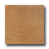 Laufen Laufen Odessa 13 X 13 Nocce Tile  &  Stone