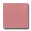 Daltile Daltile Semi-gloss 6 X 6 Carnation Pink Tile  &  Stone