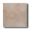 American Olean American Olean Integra 12 X 12 Chestnut Haze Tile  &  Stone