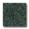 Santa Regina Santa Regina Architectural 24 X 24 (polished) Forest Green Terra