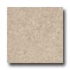 Armstrong Armstrong Mode - Stone 12 X 12 Dakota Sandstone Pepperdust Vinyl